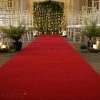 Premium Red Carpet - Image 2